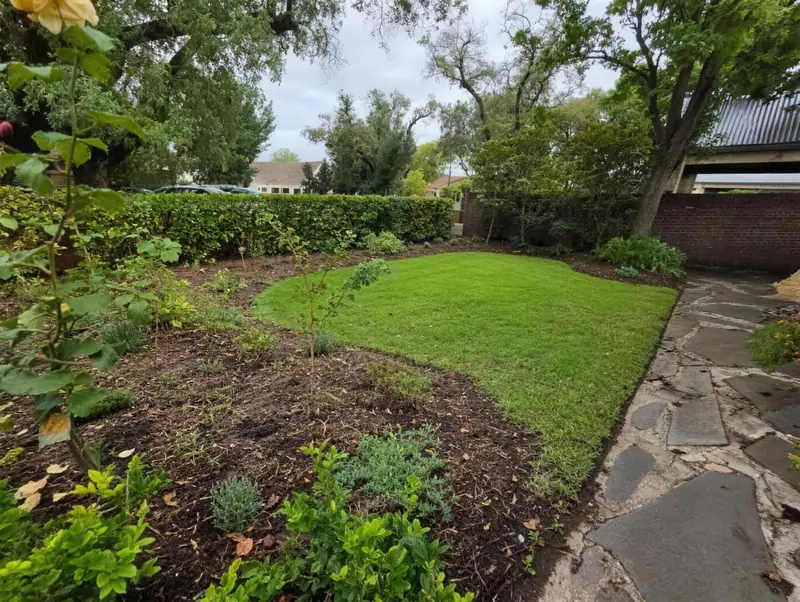 Softscaping and new lawn installed by Garden Grit horticulturist in a Burnside, Adelaide backyard with fresh garden beds and bluestone path